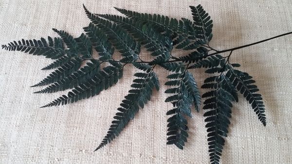 Fern Leaves  21 X 19 cm aprox.