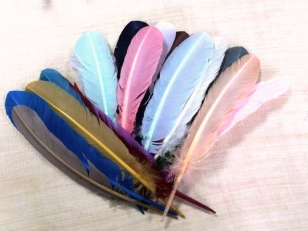  turkey feather 20-30 cm approx