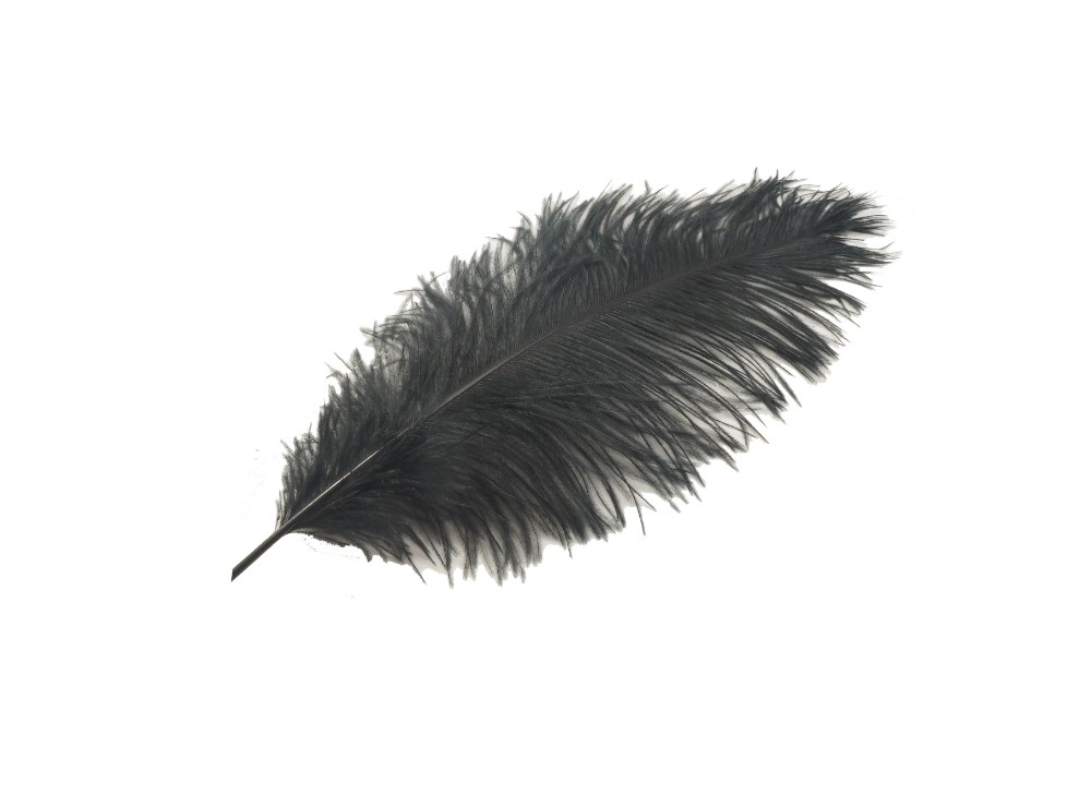 ostrich feather wing floss