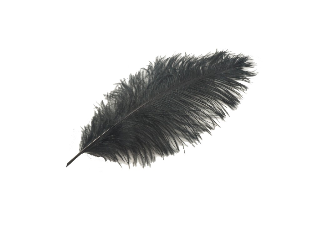 plumas avestruz wing floss