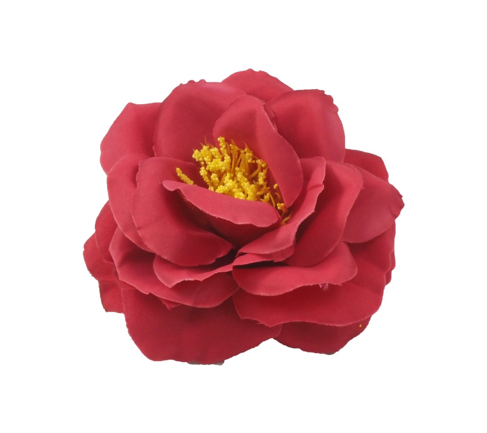 Camellia 8 cm aprox.
