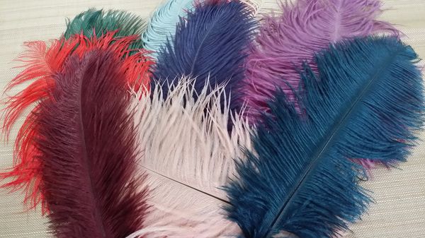 Ostrich feather 30 cm aprox.