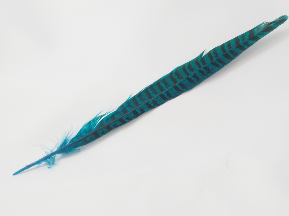 Pluma Faisán 25-30 cm.