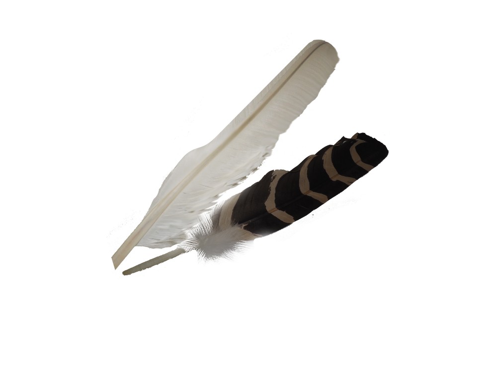 Plumas especiales de anade