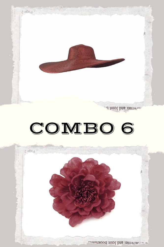 COMBO 6